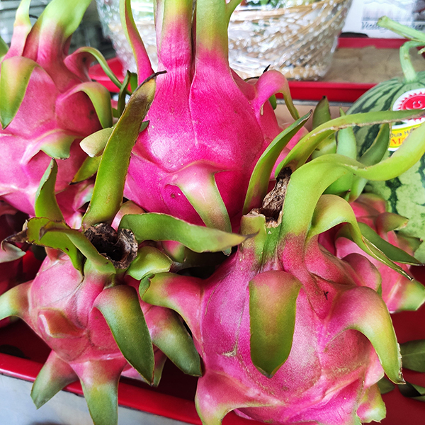 Thanh long (1 trái)